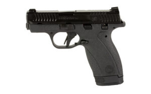 S&W BDYGRD 2.0 380ACP 2.75" 12RD TS