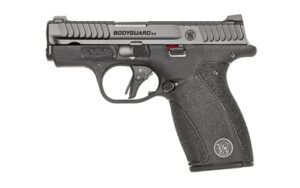 S&W BDYGRD 2.0 380ACP 2.75" 12RD NTS