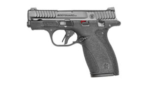 S&W M&P BDYGRD 2.0 380ACP 10RD TS